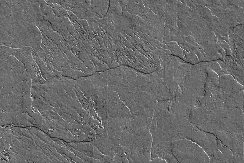 Case Details Image